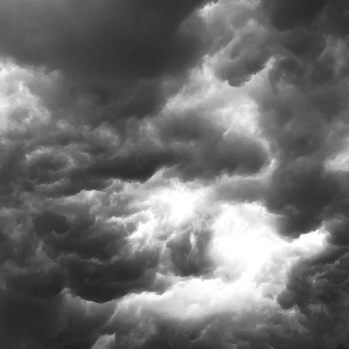 Photo #14081650