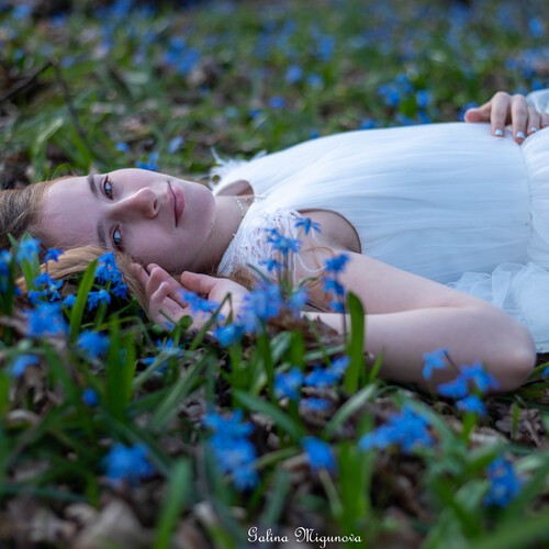Photo #14081795