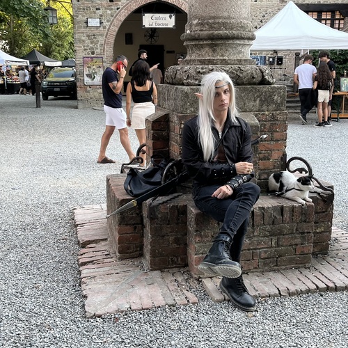 Photo #14081838