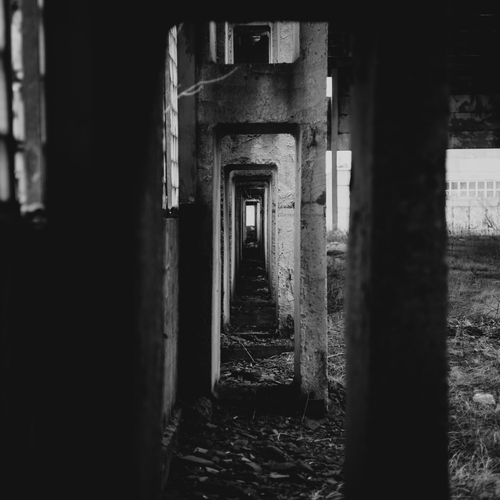 Photo #14082010