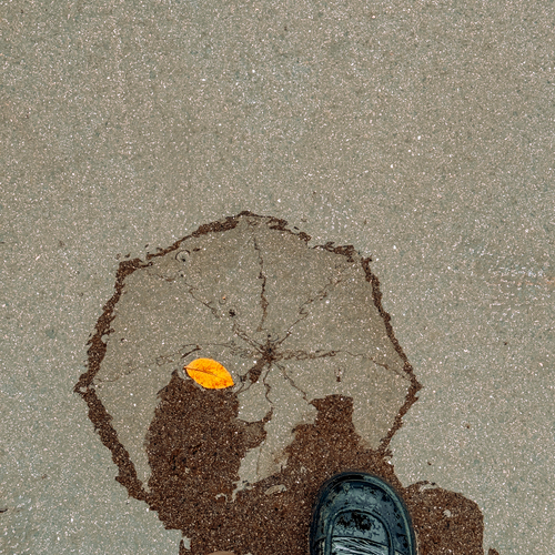 Photo #14082064