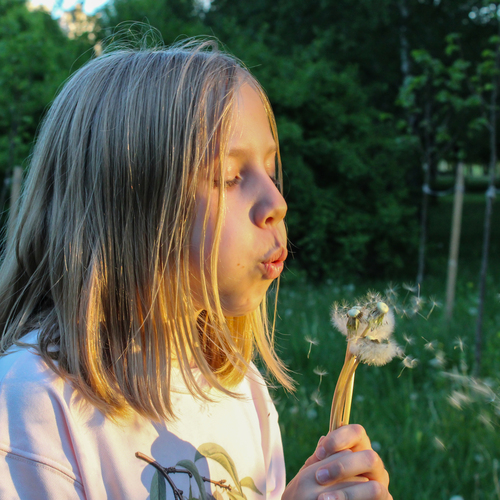 Photo #14082245