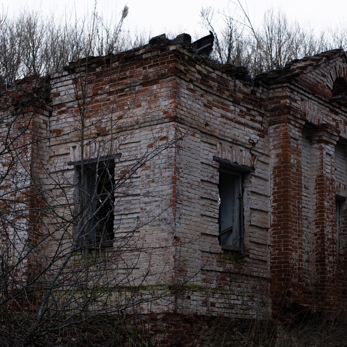Photo #14082256