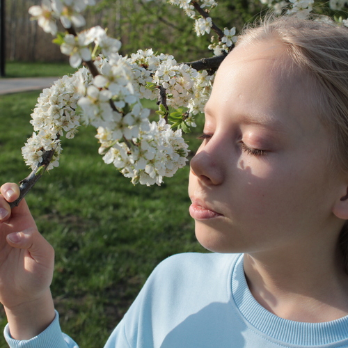 Photo #14082257