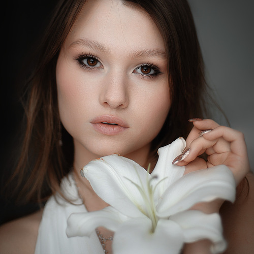 Photo #14082324