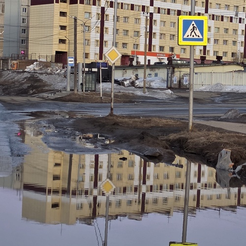 Photo #14082340