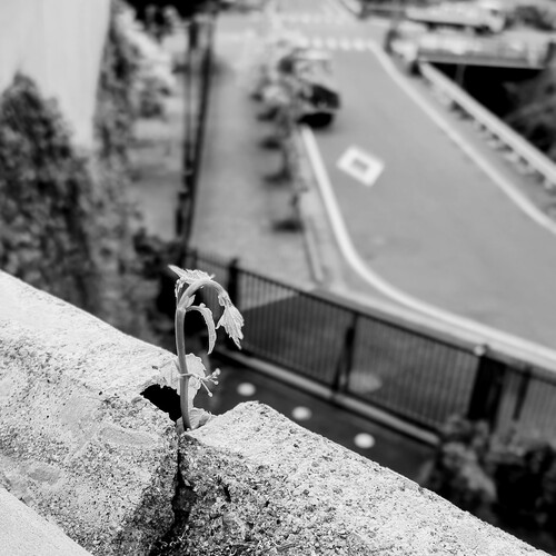 Photo #14082448