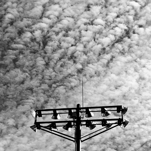 Photo #14082449