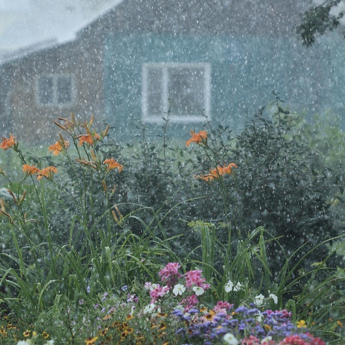 Photo #14082543