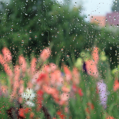 Photo #14082544