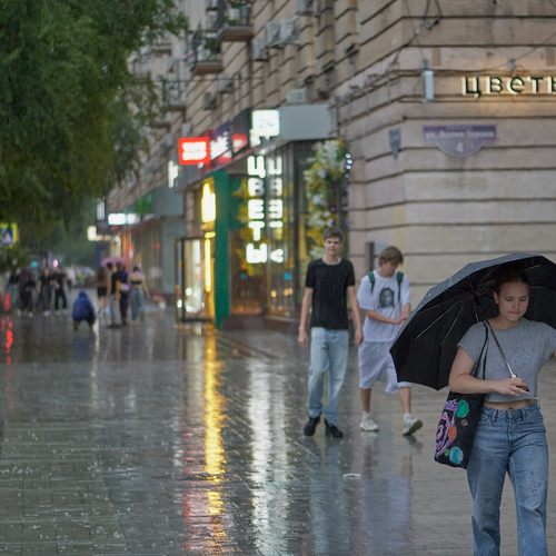 Photo #14082548
