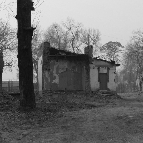 Photo #14082635