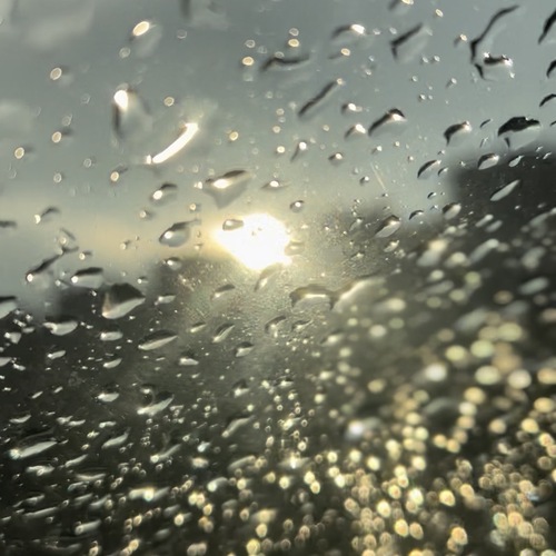 Photo #14082636