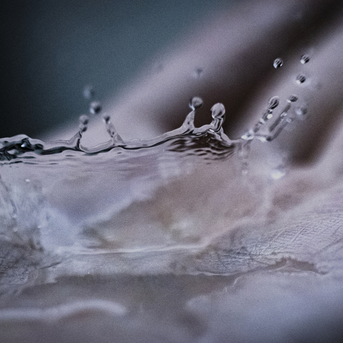 Photo #14082654