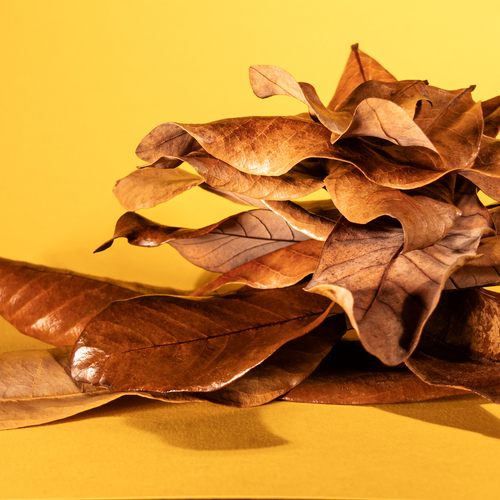 Photo #14082697