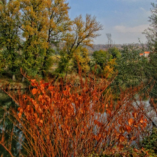 Photo #14082719