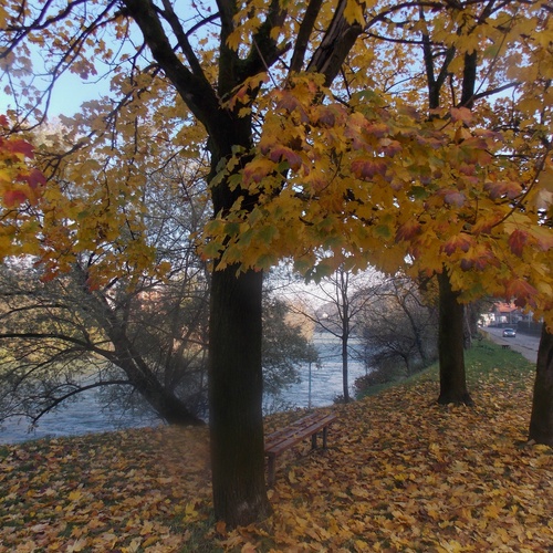 Photo #14082724