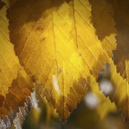 Photo #14082725