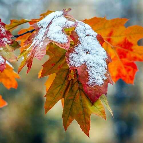 Photo #14082741
