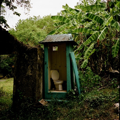 Photo #14082774