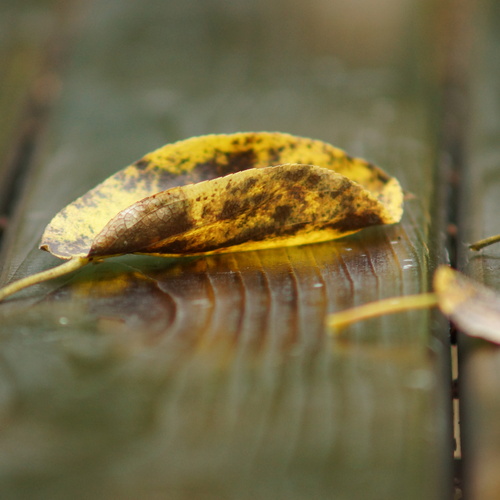 Photo #14082791