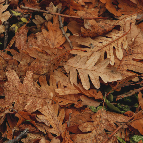 Photo #14082803