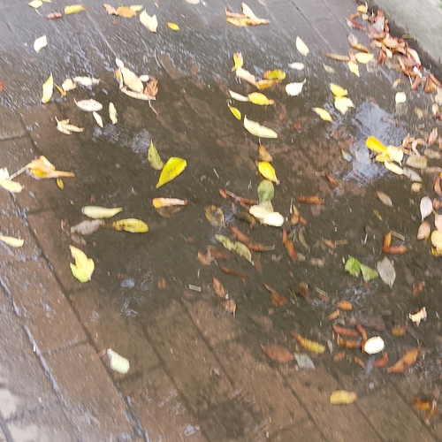 Photo #14082814