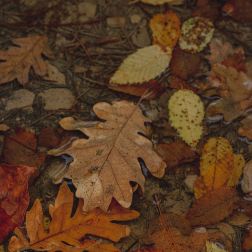 Photo #14082830