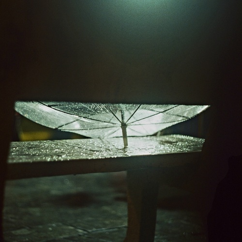 Photo #14082849