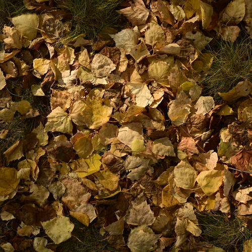 Photo #14082923