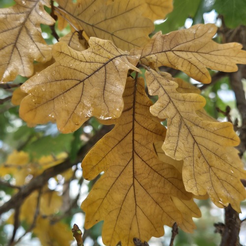 Photo #14082928