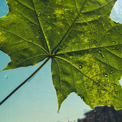 Photo #14082936