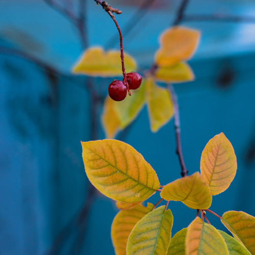 Photo #14082938