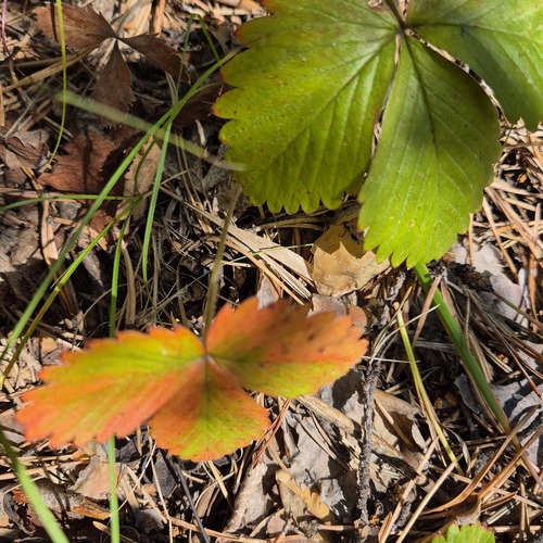 Photo #14082948
