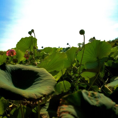 Photo #14082959