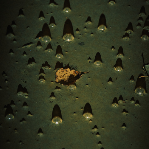 Photo #14082976
