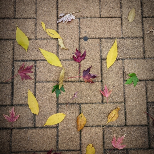 Photo #14083009