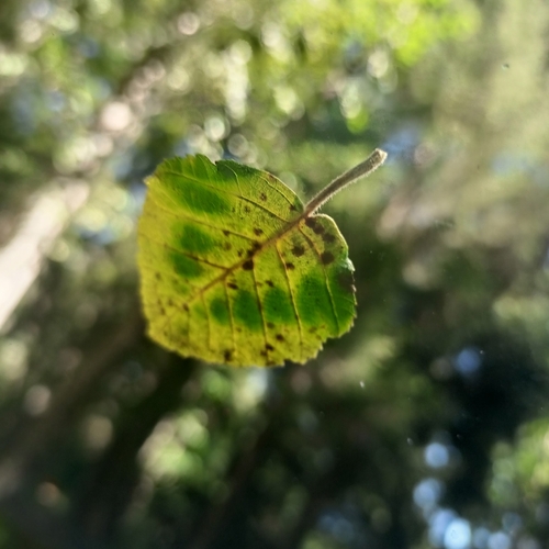 Photo #14083024