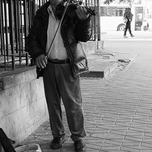 Photo #14083076
