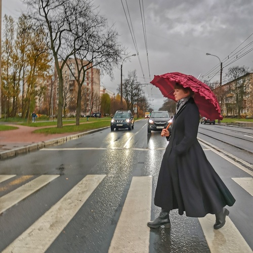 Photo #14083082