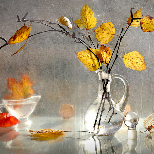 Photo #14083098