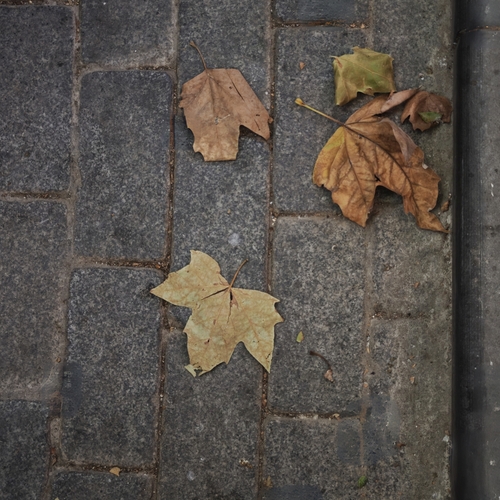 Photo #14083103
