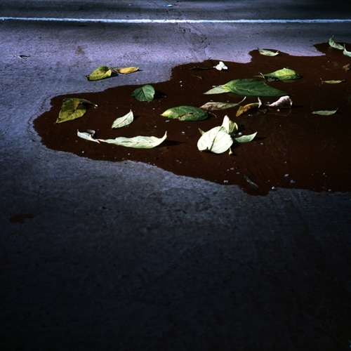 Photo #14083127