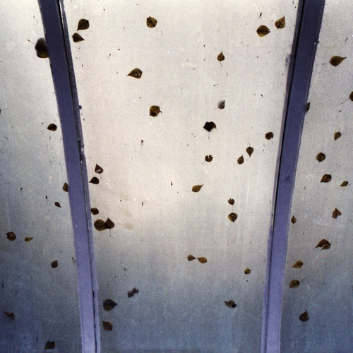 Photo #14083128