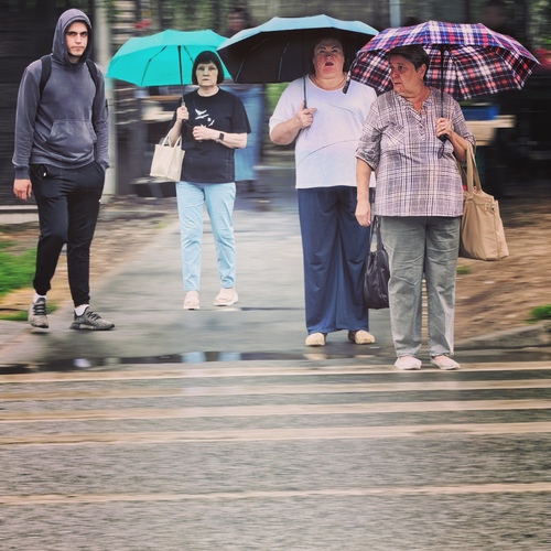 Photo #14083129