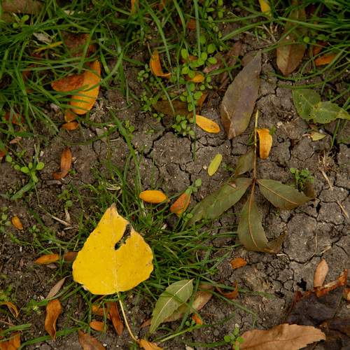 Photo #14083130