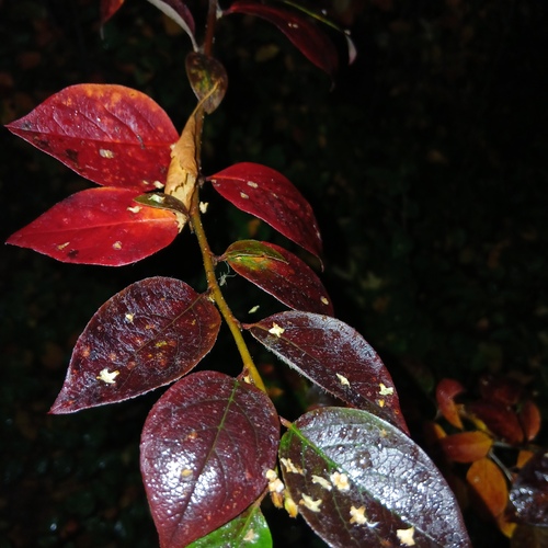 Photo #14083159