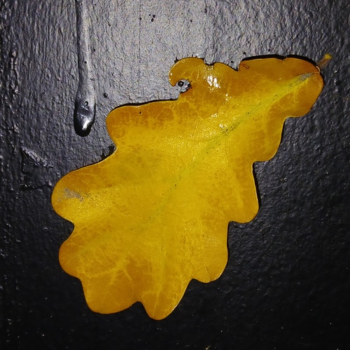 Photo #14083172