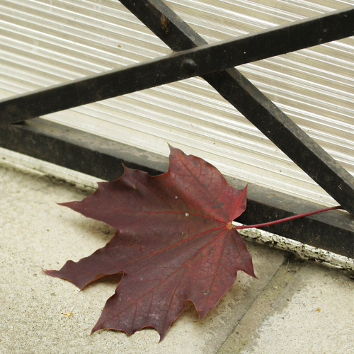 Photo #14083173
