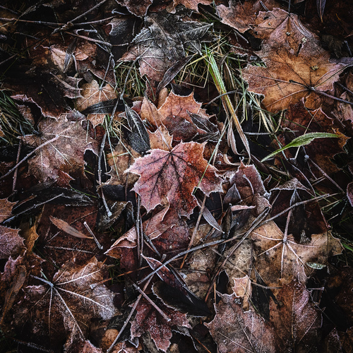 Photo #14083194